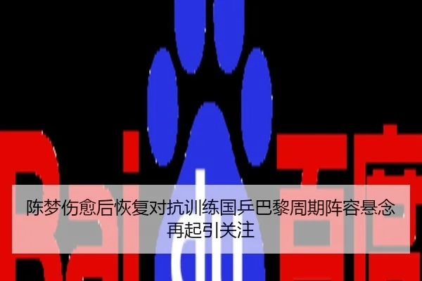 陈梦伤愈后恢复对抗训练国乒巴黎周期阵容悬念再起引关注